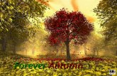 Forever Autumn - Beautiful Autumn with Jeff wayne’s ‘Forever Autumn’