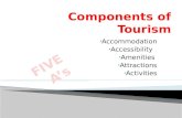 Components of tourism