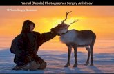 Siberia (Peninsula Yamal)
