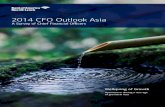 Bank of America Merrill Lynch CFO Outlook 2014 Asia
