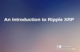 An Introduction to Ripple XRP