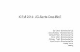 iGEM 2014: UC Santa Cruz BioE Project