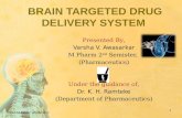 Brain targeted drug delivery system