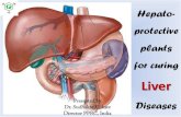 Liver diseases - Part II