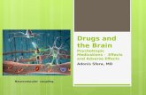 Drugs and the brain