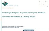 MSC - Farwaniya Hospital Expansion Project, Proposed Headwalls