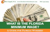 What Is the Florida Minimum Wage?