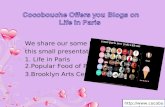 Cocobouche offer blogs on popular food of paris, life in paris & brooklyn arts center