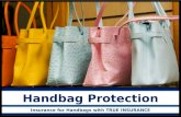 Handbag protection
