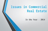 Issues in commercial real estate