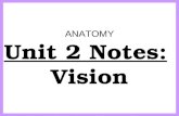 Anatomy unit 2 nervous system vision notes