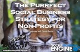 The Purrfect Social Business Strategy for Non-Profits