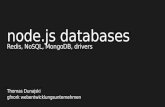 node.js workshop- node.js databases
