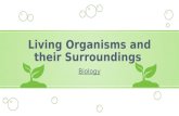 Living organisms and Their Surroundings