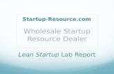 Lean Startup Lab Report