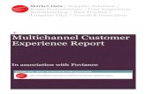 Sample multichannel-customer-experience-report-2011(1)