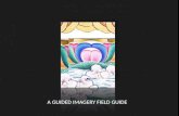 Guided Imagery Field Guide