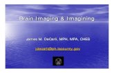 Brain Imaging & Imagining Final