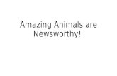 Amazing animals are newsworthy!