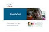 WAAS Presentation-Aca Vulovic