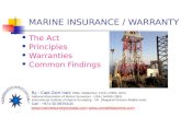 constellation marine surveyors dubai presentation on warranty and marine