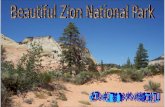 Beautiful Zion National Park