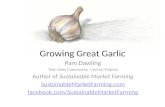 Growing great garlic. Pam Dawling.
