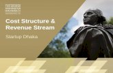 Determining cost structure & revenue streams