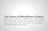 The Power of WordPress Plugins