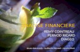 Financial Analysis - Spirits Industry (Diageo, Pernod-Ricard, Remy Cointreau)
