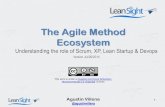 The Agile Method Ecosystem (Scrum, XP, Devops, LeanStartup)
