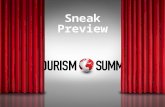 Sneak Peek at etourism Summit 2014