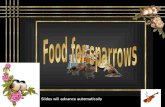 Food For Sparrows - Charlotte2