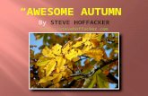"Awesome Autumn" - fall's intense color - by Steve Hoffacker