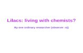 Interesting findings about lilacs
