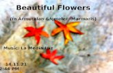 Beautiful flowers in_marmaris