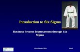 1. Introduction to Six Sigma (458 k ppt)
