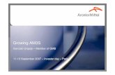 ArcelorMittal - Growing AM3S - Investor Presentation, Sept 2007