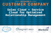 Sales and Service Cloud