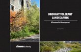 Drought Tolerant Landscaping - Toronto, Canada