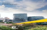 2014 : Africa the Developing Tiger - Ernst and Young Africa attractiveness report