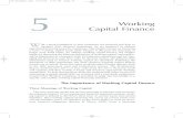 Chapter on Working Capital