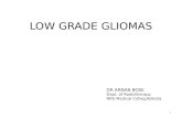 Low  Grade  Gliomas