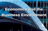 Economics & Business Environment