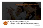 Big data beyond the hype may 2014