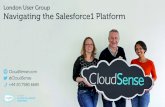 Navigating the Salesforce1 Platform