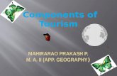Components of Tourism