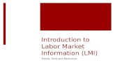 Understanding and Using Labor Market Information