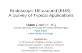 Git Endoscopic Ultrasound