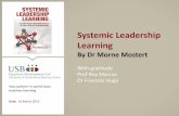 Systemic Leadership Learning by Dr Morne Mostert - We Read For You